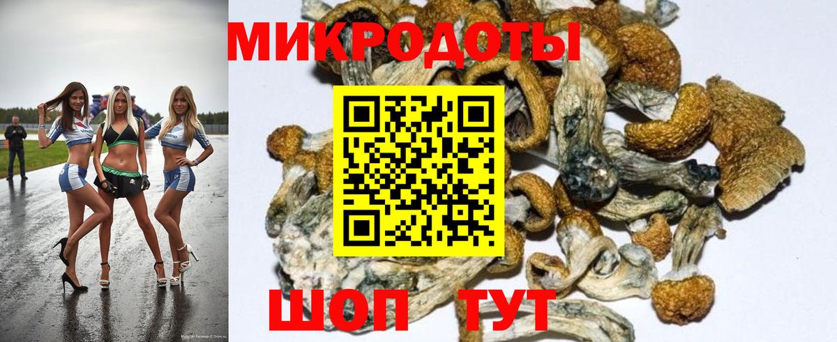 Галлюциногенные грибы Magic Shrooms  Галлюциногенные грибы прущие грибы  Тула  наркотики  Вход с VPN 